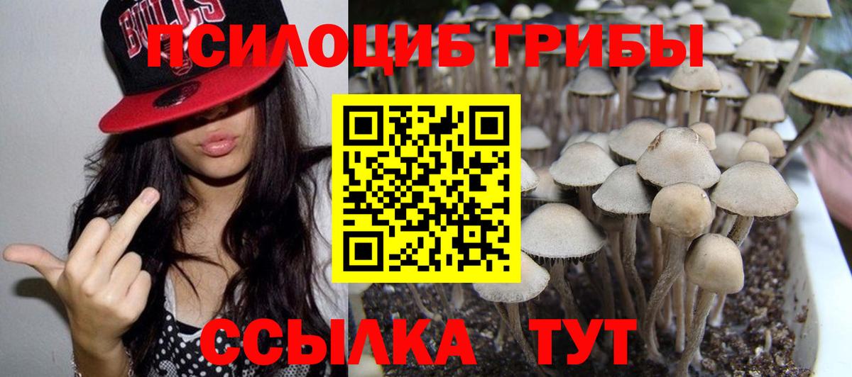 Псилоцибиновые грибы мухоморы Южноуральск